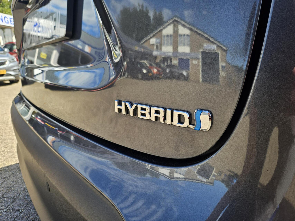 47466383-13.jpg
